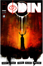 Load image into Gallery viewer, Odin #1 2026 Jae Lee Variant 1:100 + Jeff Monks exclusive (2 book deal)