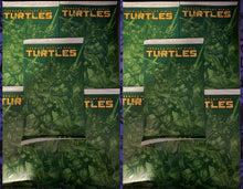 Load image into Gallery viewer, Teenage Mutant Ninja Turtles #13 F Blind Bag 10x Bundle + 1:25 +1:50 (12 books 10 bags - 2 ratios)