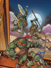 Load image into Gallery viewer, Teenage Mutant Ninja Turtles #13  Aurelio Mazzara Virgin/Trade + Jason Flowers Black Saber Exclusive
