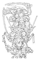 Teenage Mutant Ninja Turtles #20: 300th Issue Special Variant RI (300) (Miller Full Art B&W)[1:300]