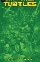 Load image into Gallery viewer, Teenage Mutant Ninja Turtles #13 F Blind Bag 10x Bundle + 1:25 +1:50 (12 books 10 bags - 2 ratios)
