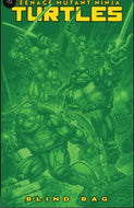 Teenage Mutant Ninja Turtles #13 F Blind Bag Multiple options