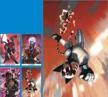 Load image into Gallery viewer, ABSOLUTE CATWOMAN #1 CVR A, B, C, D + 1:25 (5 Books)
