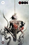 Odin #1 2026 Jae Lee Variant 1:100 + Jeff Monks exclusive (2 book deal)