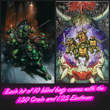 Load image into Gallery viewer, Teenage Mutant Ninja Turtles #13 F Blind Bag 10x Bundle + 1:25 +1:50 (12 books 10 bags - 2 ratios)
