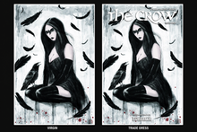 Load image into Gallery viewer, THE CROW: FLESH &amp; BLOOD #1 BLACK SABER COMICS EXCLUSIVE - DALE ALTMANN -NYCC EXCLUSIVE
