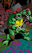 Load image into Gallery viewer, TEENAGE MUTANT NINJA TURTLES 143 144 145 146 147 148 SET of JIM LAWSON 6 BOOK BUNDLE Black Saber Comics Exclusive
