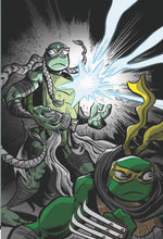 Load image into Gallery viewer, TEENAGE MUTANT NINJA TURTLES 143 144 145 146 147 148 SET of JIM LAWSON 6 BOOK BUNDLE Black Saber Comics Exclusive
