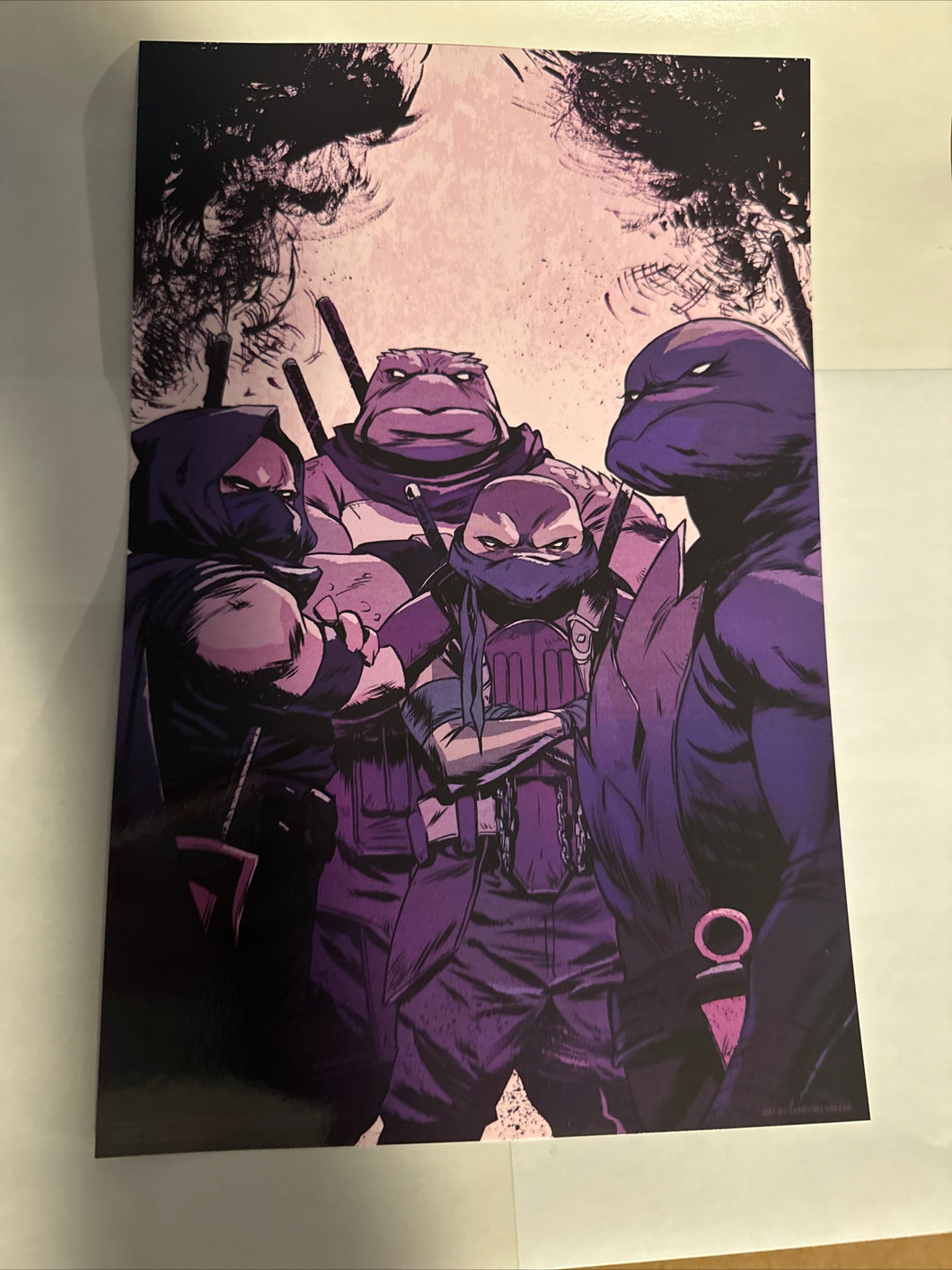 TMNT The Last Ronin II ReEvolution 1 ART PRINT 1100 Greene IDW 2024