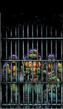 Load image into Gallery viewer, Teenage Mutant Ninja Turtles #11 Variant RI (Corona) 1:50 + (Powell) 1:25 + (Eastman) 1:10 (3 Book Bundle)
