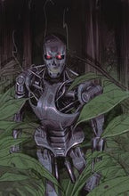 Load image into Gallery viewer, Pre-order TERMINATOR #1 (16 BOOK Ratio bundle) COVERS A, B, C, D, E, + /11 RATIOS/  10, 15, 20, 25, 30, 40, 50, 75 (1 of each of the ratios) (Copy)
