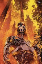 Load image into Gallery viewer, Pre-order TERMINATOR #1 (17 BOOK Ratio bundle) COVERS A, B, C, D, E, + /12 RATIOS/  10, 15, 20, 25, 30, 40, 50, 75, 100 (1 of each of the ratios)
