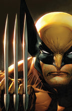 Load image into Gallery viewer, Wolverine #23 Unknown Comics Scott Williams Exclusive Virgin Icon Var (07/13/2022)

