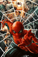 AMAZING SPIDER-MAN #11 LEE BERMEJO AMAZING VISIONS VIRGIN VARIANT [1:100] 