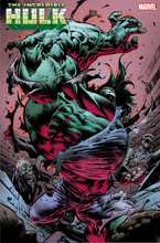 Load image into Gallery viewer, INCREDIBLE HULK 2 NIC KLEIN 2ND PRINTING VARIANT (21 Book bundle) + 20 Cover A + 1:25
