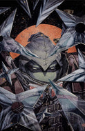 Teenage Mutant Ninja Turtles: The Last Ronin--The Lost Years #1  EXCLUSIVE COVER by BRAO ltd 450